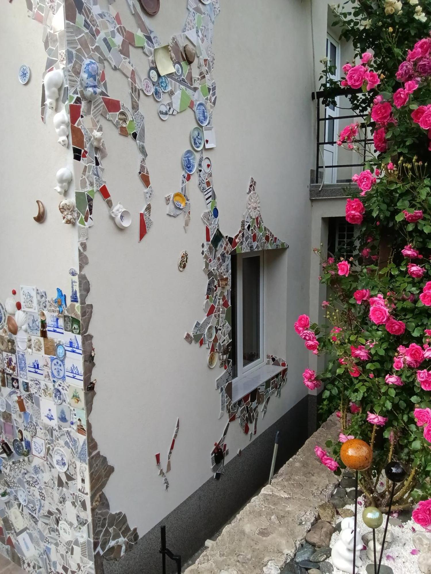 Apartment Cats Donji Milanovac Extérieur photo